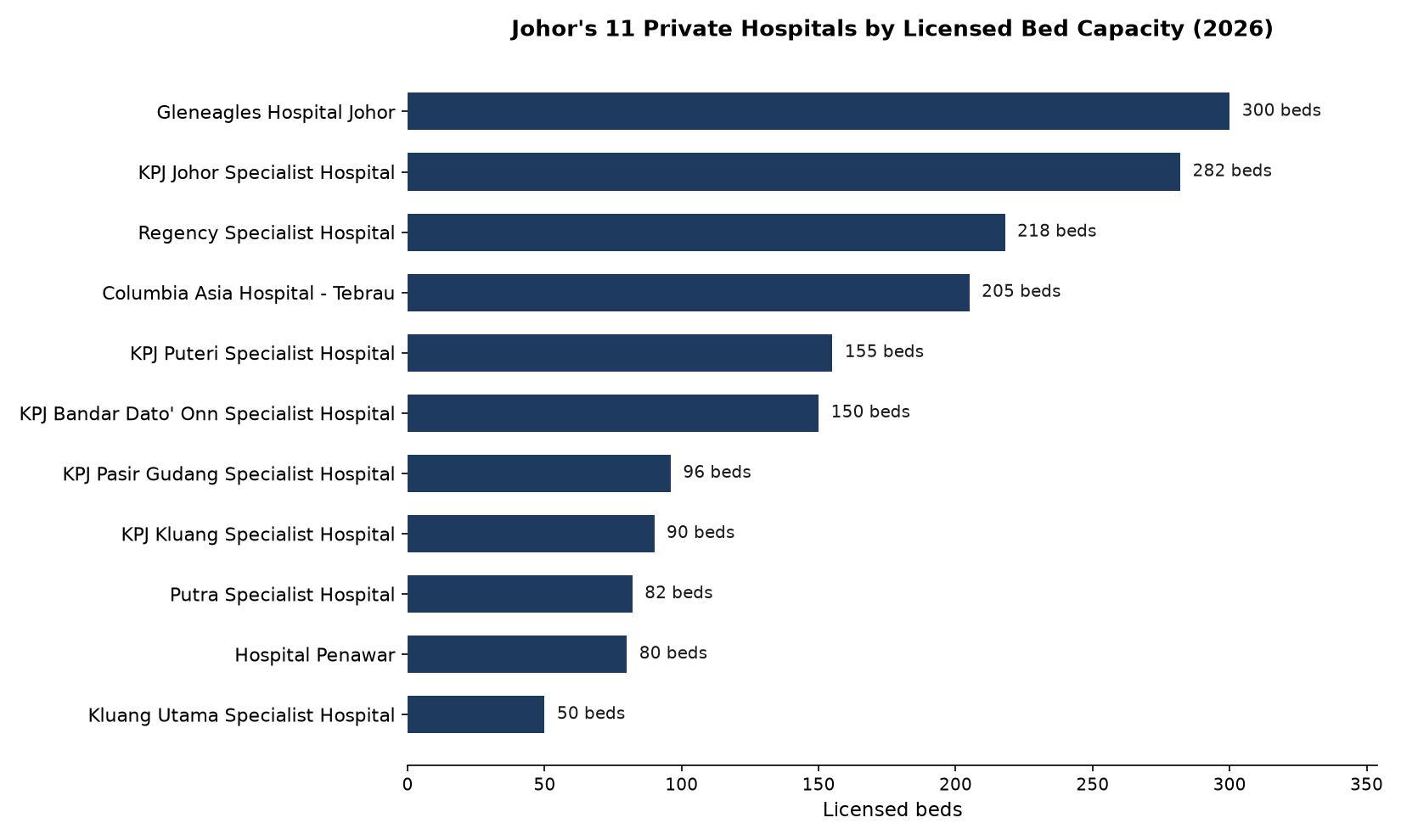 Horizontal bar chart ranking Johor's 11 private hospitals by licensed bed capacity, from Gleneagles Hospital Johor at 300 beds to Kluang Utama Specialist Hospital at 50 beds